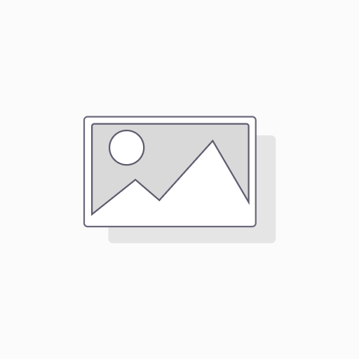 Full Back Window Graphic 